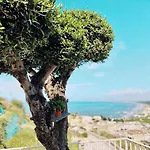Farma Lavinum