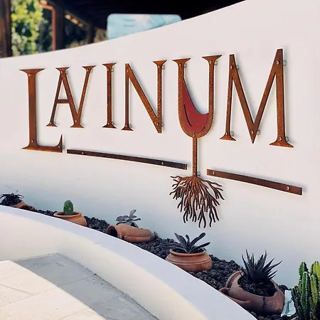 팜스테이 Lavinum *
